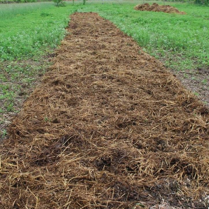 Lettiera Vermicompost