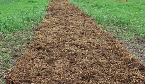 Guida Completa al Vermicompostaggio